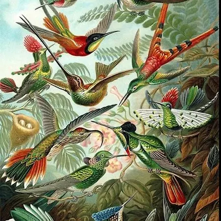 Apartament New Cozy Near The Sea! *