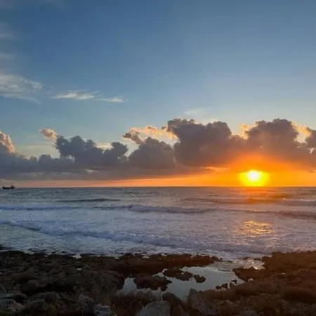 דירה New Cozy Near The Sea! פאפוס