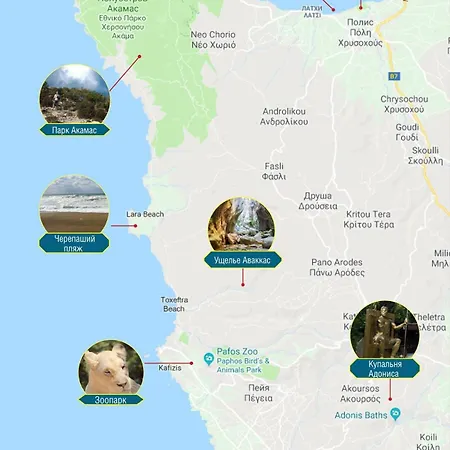 דירה New Cozy Near The Sea! פאפוס